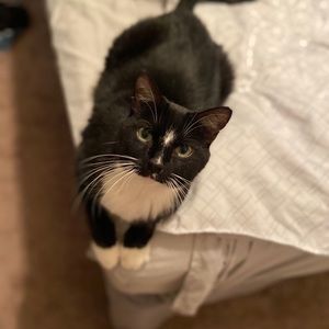 Meet your Posher, Danielle